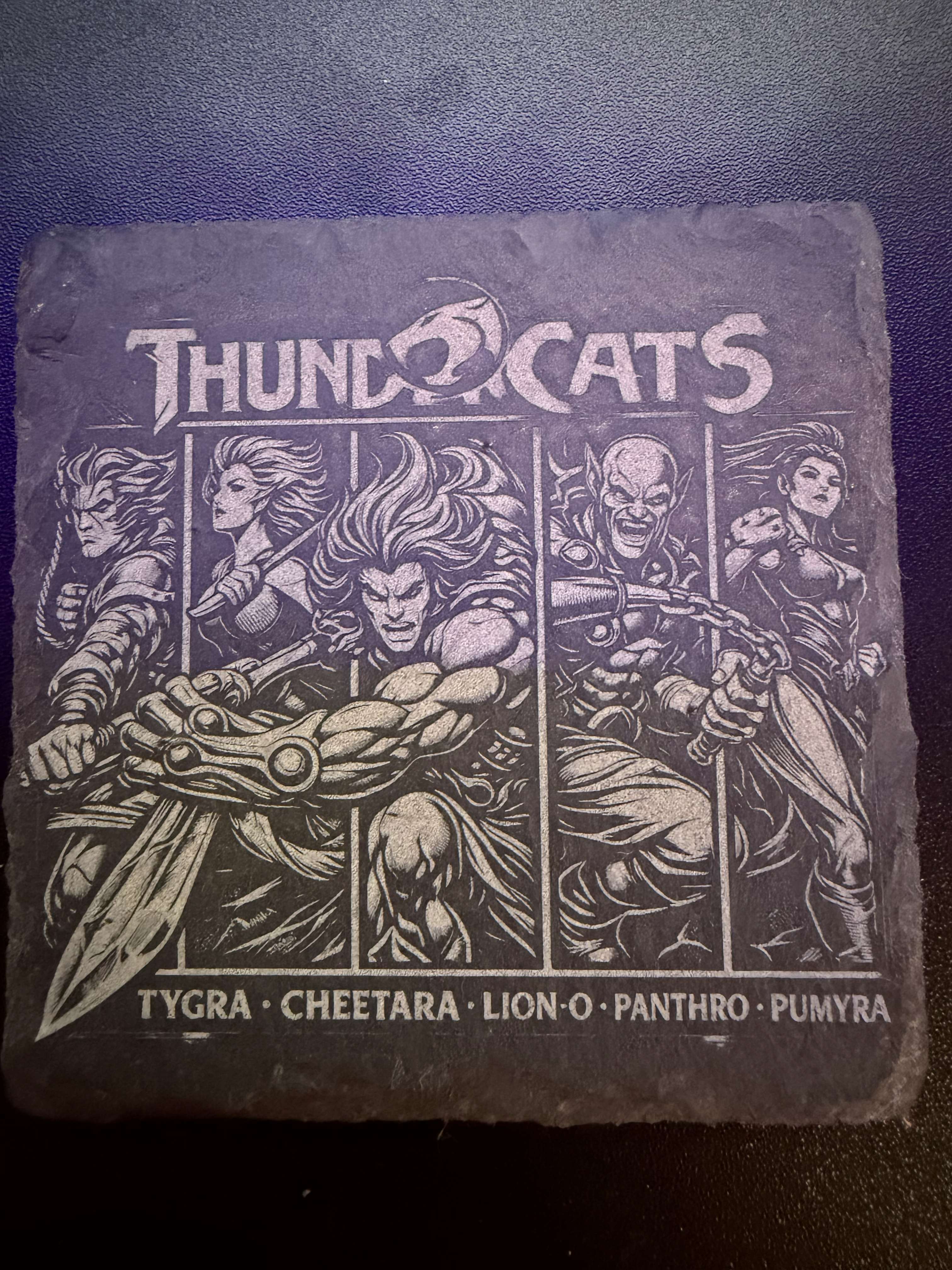 "Custom laser-engraved slate coaster with Thundercat's themed coasters — ShadowFax Custom Creations, personalized laser engraved slate gifts"
